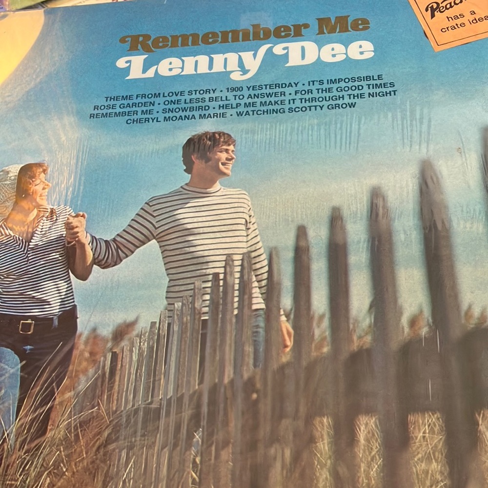 Remember me Lenny dee lp